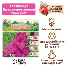Гладиолус Крупноцветковый "Пламтарт", р-р 8/10, 3 шт,