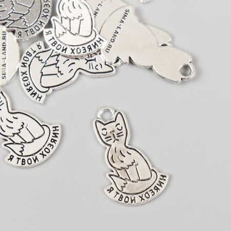 Decor Metal for creativity "Cat - I am your master" 1.6x2.5 cm