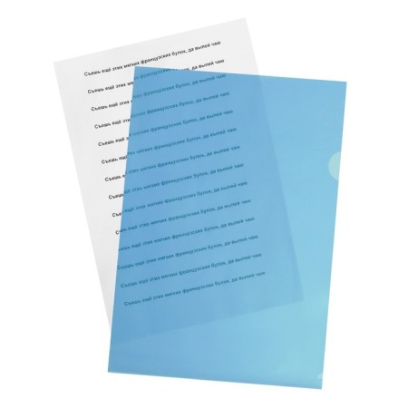 A4, 100 microns, calligrata, economy, transparent, blue folder-3