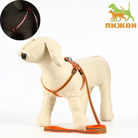 The reflective “bones” set, a collar of 120 x 1 cm, Osh 24-40 cm, fire 24-40 cm orange