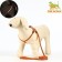 The reflective “bones” set, a collar of 120 x 1 cm, Osh 24-40 cm, fire 24-40 cm orange