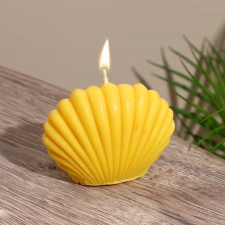 Candle "Small shell" 9x4x7.5 cm, soy wax mix-1