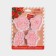 New Year. A set of cookies "Parcel from Santa Claus", plastic, 4 pcs