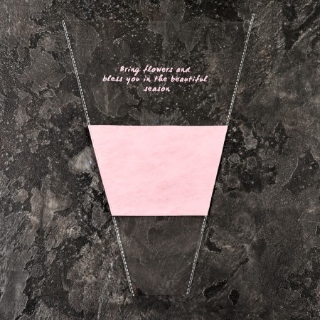 Packet stoop for flowers, with non -woven material, 26+7x37 cm, pink-2