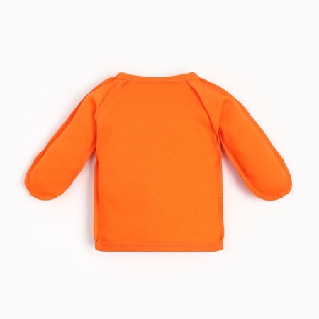 Buying nursery, orange color, height 52-62cm-3
