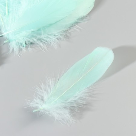 A set of goose feathers 13-18 cm, 20 pcs, sea wave-3