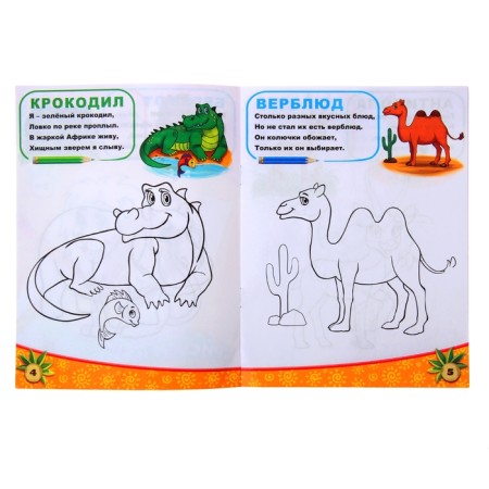 Раскраска «Животные южных стран», 12 стр.-1