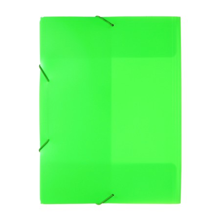 A4, 500 μm elastic band, calligrata "neon", spine 30 mm, neon, salad-7