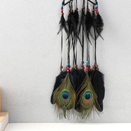 Dreams "Star. Pavlee feathers" 20x73 cm-2