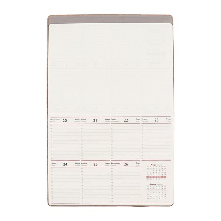 Dated 2025 planning, 250 x 190 mm, 54 sheets, gluing, Escalada, hard -leather cover, pancake embossing, tinted block 70 g/m2, beige beige.-7