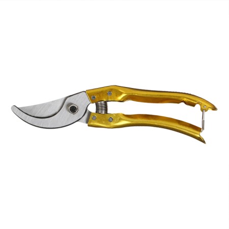 Planning coater, 8 "(20 cm), with metal handles, with a spare spring, Greengo-10