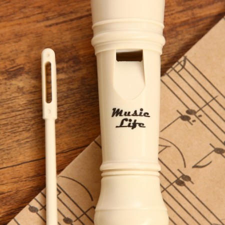 Music Life Blockflate, 8 holes, German system, soprano-5