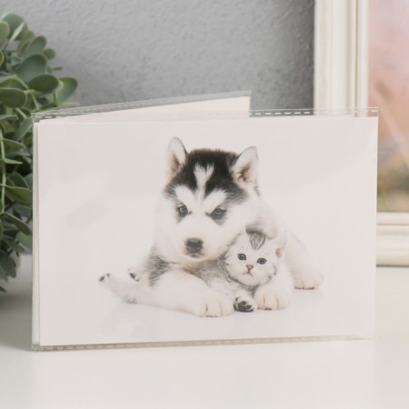 Photo album in 36 photos, 18 sheets "Puppy with a kitten" 10x15 cm