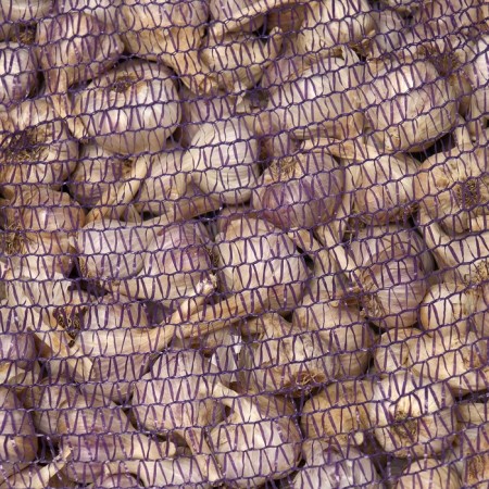 Garlic Winter Dobrynya 50+, mesh 10 kg-2