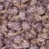 Garlic Winter Dobrynya 50+, mesh 10 kg