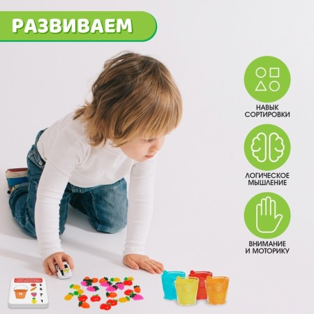 Developing set "Fruit account"-2