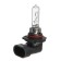 Avs Vegas, HB3/9005.12 V, 60 watts lamp
