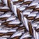 Cord of twisted decorative 12 mm without braid No. 21.2, 25 m