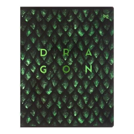 Notebook 48 sheets of Dragon-Like cage, covered cardboard, metallization, mix-5