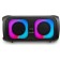 Column 06 "(20-34 Dance Box 300) Dynamics 2pcs/6.5" Eltronic with TWS