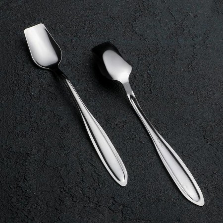 Spoon for ice cream "Beagge", h = 14.5 cm, thickness 1 mm, silver color