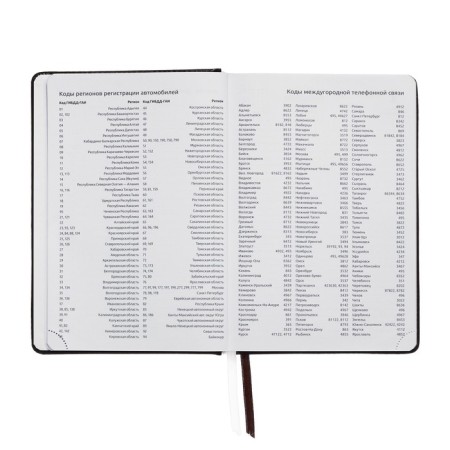 Gift Davente.bravo: Dated Dated 2024, A5, 176 sheets, solid cover, block 70 g/m2, burgundy + ballpoint pen.-8