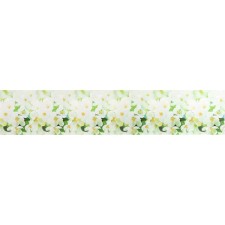Kitchen apron PVC 