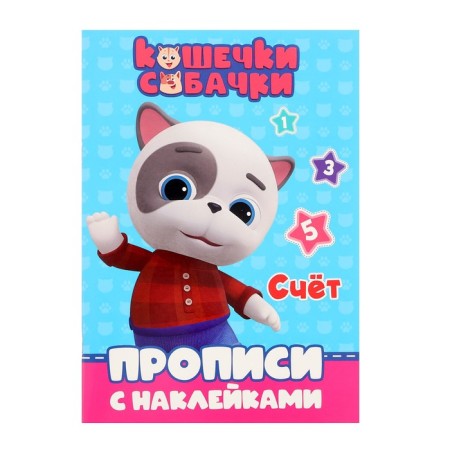 Records with stickers "cats-pillows", account