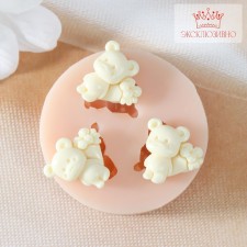 Silicone Mold 
