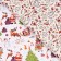 Package paper, glossy "Christmas", bilateral, 70 x 100 cm, 10 pcs.