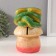 New Year's piggy bank "Snake on the mushroom" 18 x12 x 12 cm.