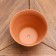 Flower pot "Nolina" 1.2 l