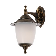 TDM lamp 