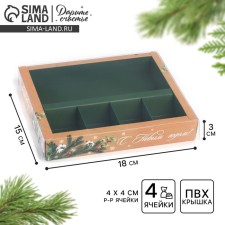 Box for 4 sweets and chocolate with cells 