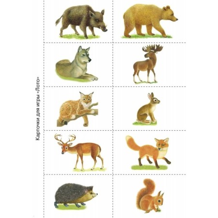 Forest animals. Kulikovskaya T.-3