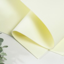 Foamiran Irania 2 mm (champagne/107) 60x70 cm