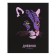 Universal Diary 5-11 classes, 48 ​​sheets "Leo", SoftTouch, solid cover, block 65 g/m2