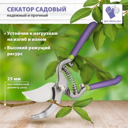 Planning coater, 10 "(25.5 cm), with metal rubberized handles, Palisad