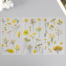 Plastic stickers 