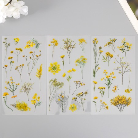 Plastic stickers "Mimosa" set 6x18 cm