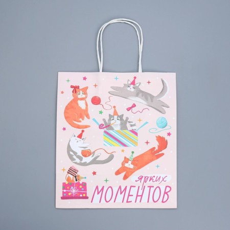 Gift Crafts, Packaging, "Party", 22 x 25 x 12 cm-5