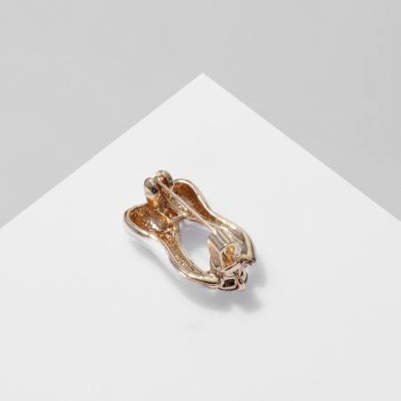 Brooch "Tooth" with rhinestones, white color in gold-1