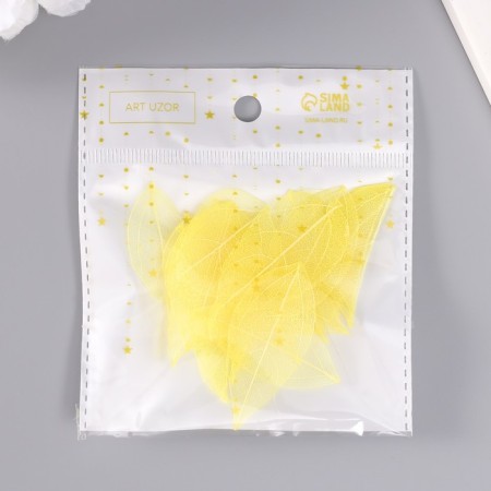 Leaves skeletered for creativity "yellow" set 20 pcs h = 6-6.5 cm-3