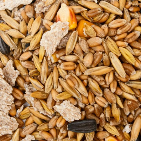 The fodder mixture "Eshka" for all types of rodents, 450 g-2