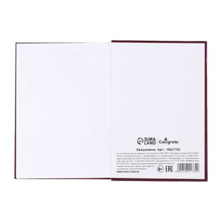Dated diary of 2025, A5, 168 sheets, boumville, burgundy-8