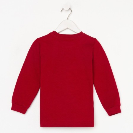 Sweatshirt for the boy Burgundy color, height 98-2