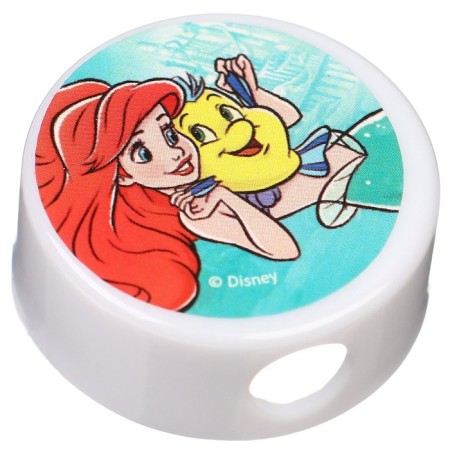 Cleaning set, notebook, sharpener, eraser, pencil, scissors, princesses-12