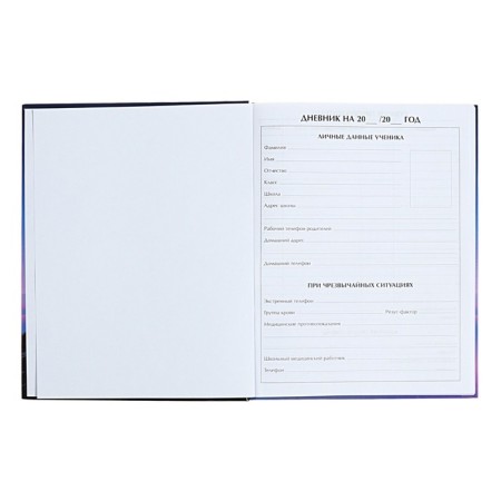 Universal diary for grades 1-11 on the verge, hard cover, matte lamination, selective varnish, 40 sheets-3