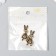 Decor for creativity Metal "Bunny in Body" gold 3.3x1.6 cm