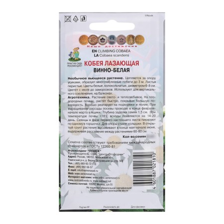 Coble flowers climbing "wine-white", 5pcs.-1
